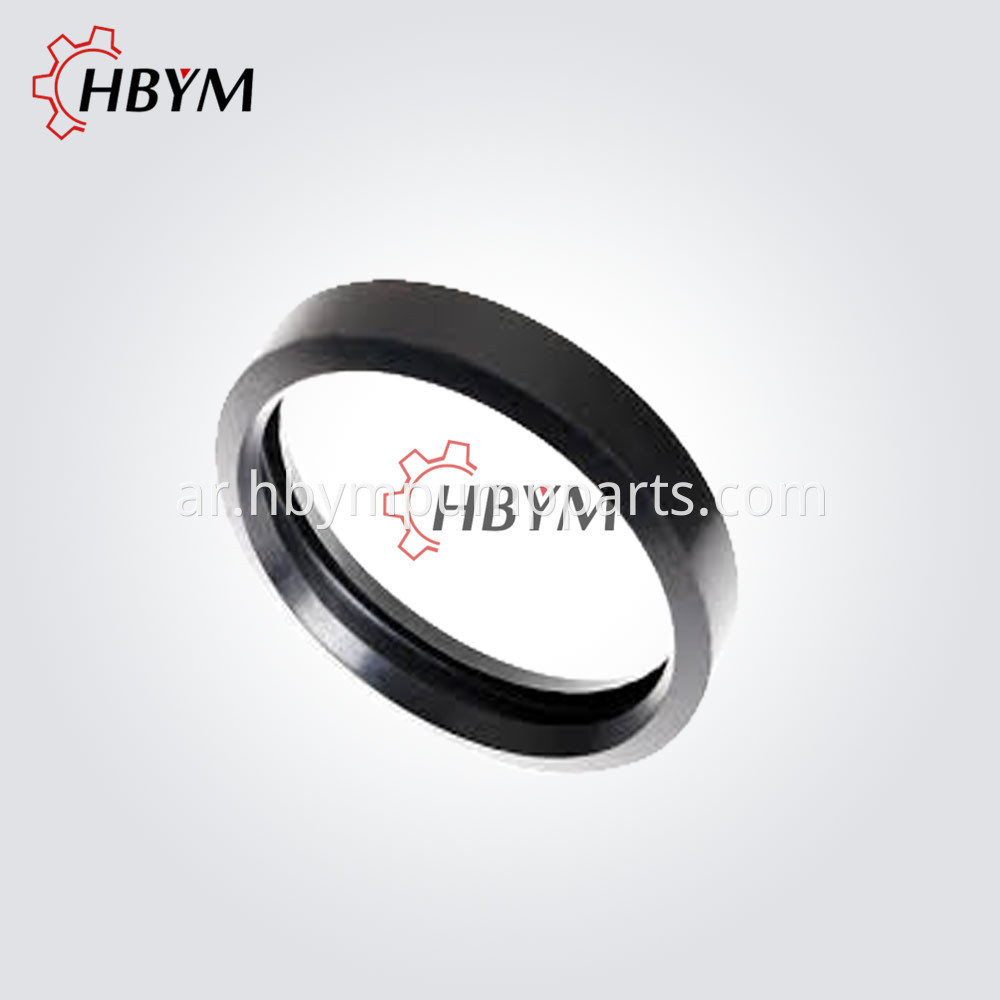 Rubber Gasket 1